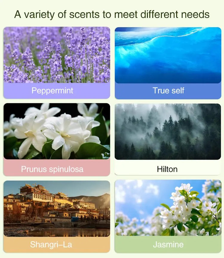 Automatic Car Aromatherapy Diffuser – Jasmine Essential Oil Humidifier